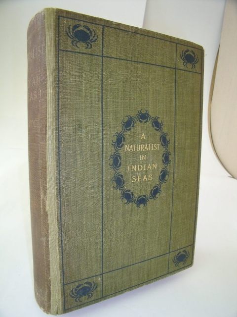 009794.JPG