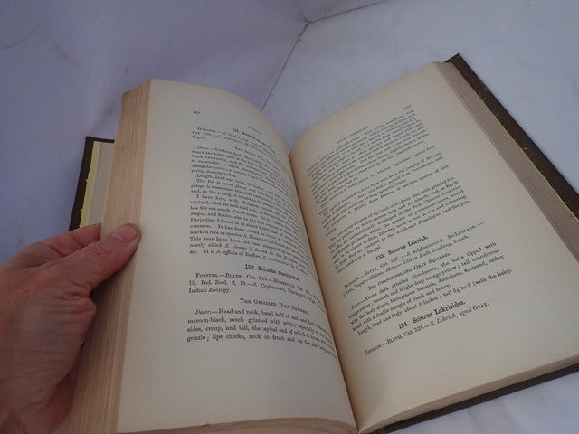 033156_4.JPG
