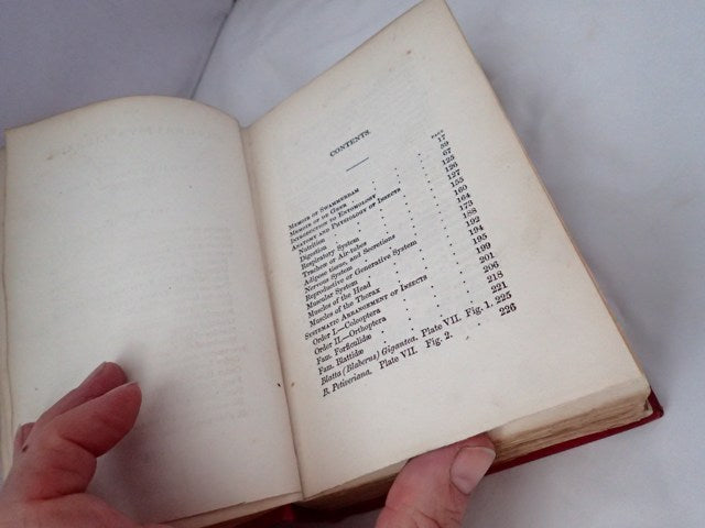 033289_4.JPG