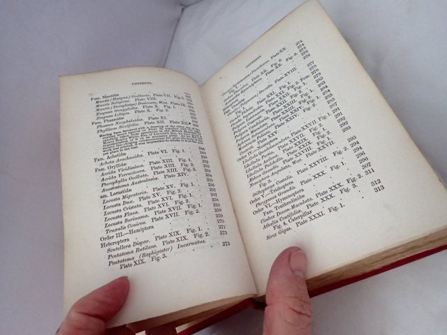 033289_5.JPG