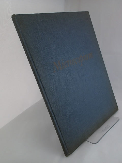 026461.JPG