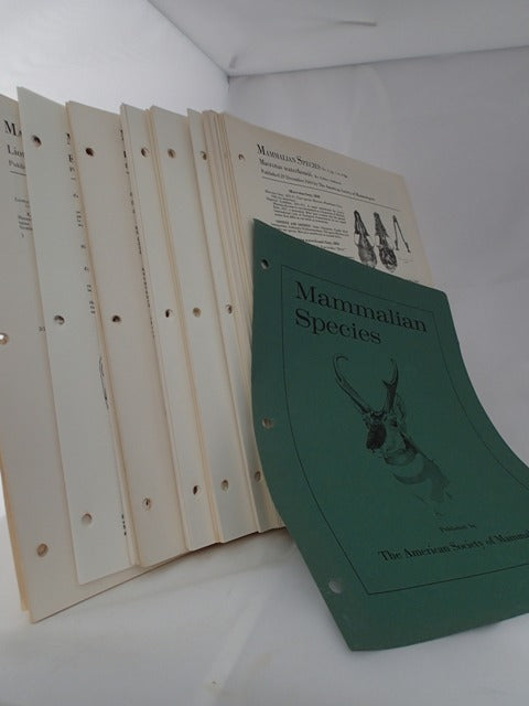 026774.JPG