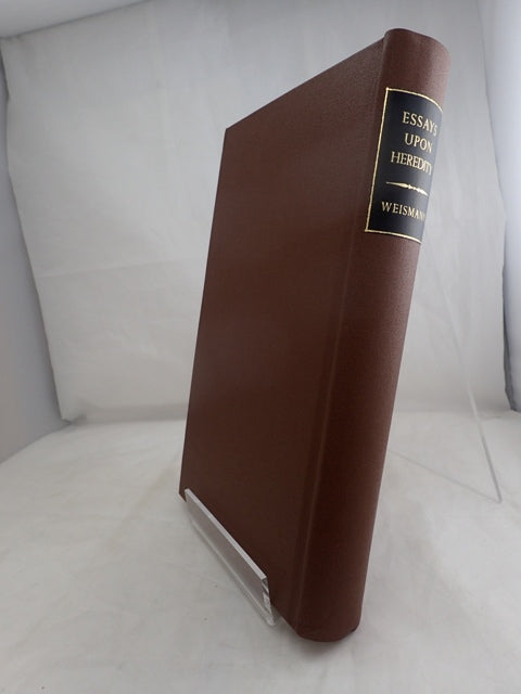 028657_2.JPG