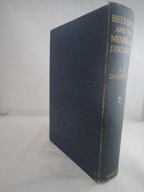 028683_2.JPG
