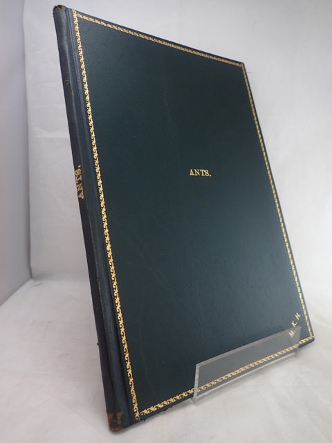 029184.JPG