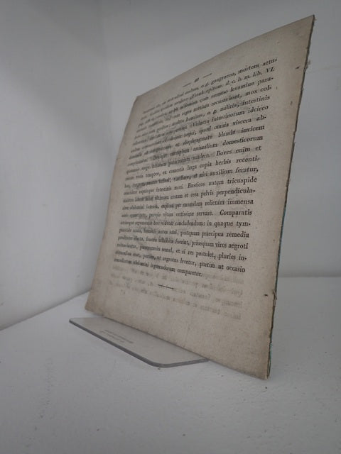 030966_2.JPG