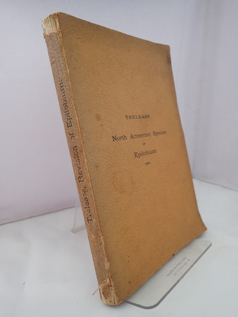 032467.JPG