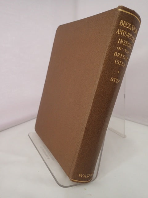 032560_2.JPG
