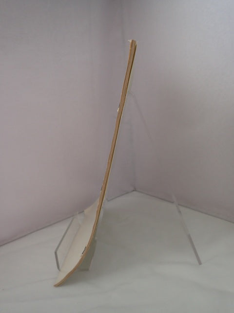 032604_3.JPG