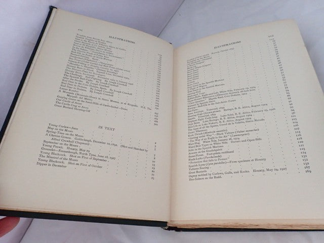 033272_5.JPG