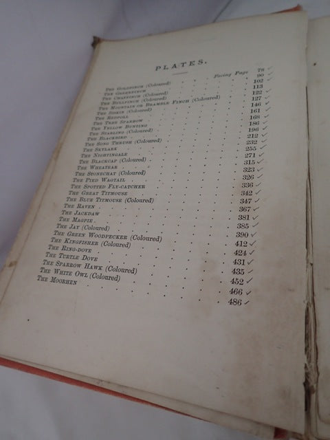 033307_4.JPG