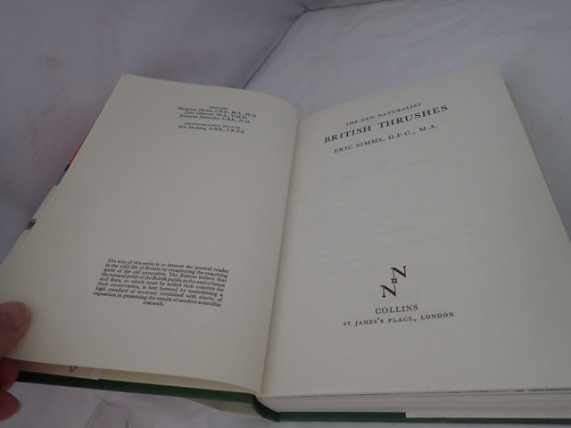 033308_2.JPG