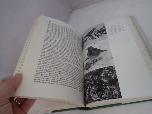 033308_4.JPG