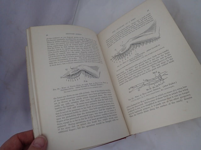 033337_3.JPG