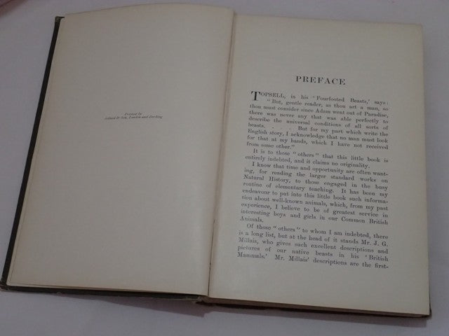 033541_3.JPG