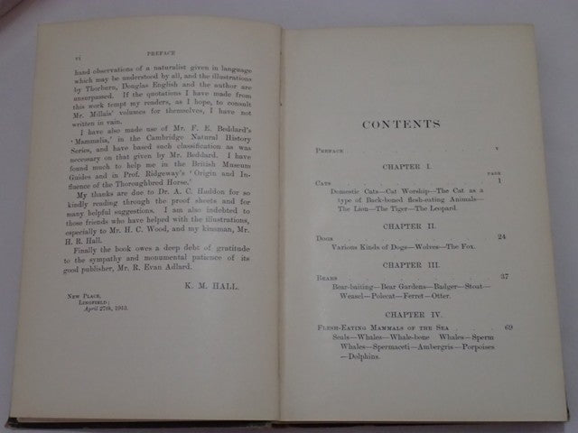 033541_4.JPG