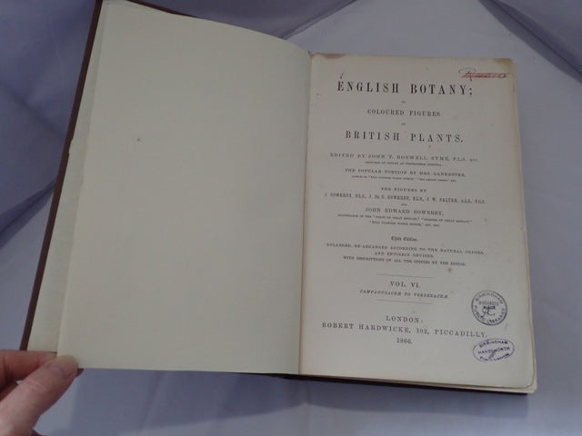 033546_2.JPG