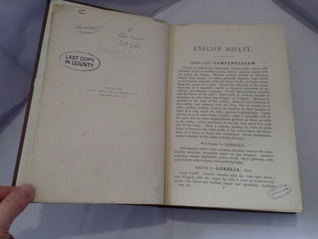 033546_3.JPG