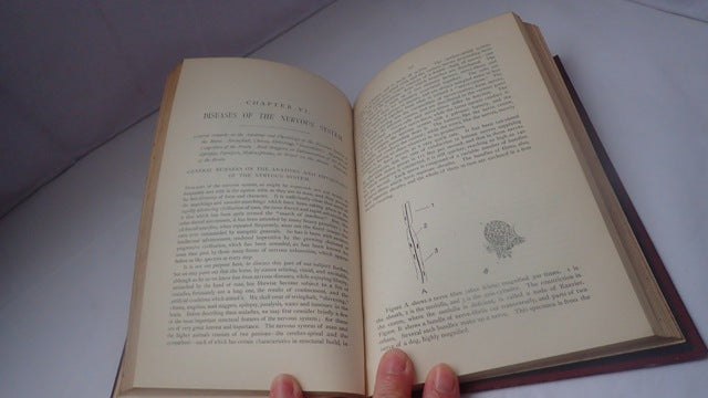 033681_4.JPG