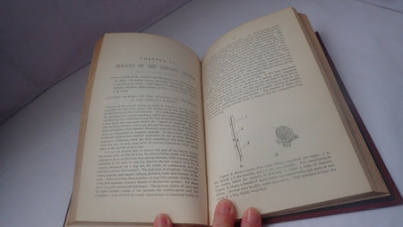 033681_4.JPG