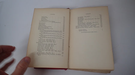 033784_5.JPG