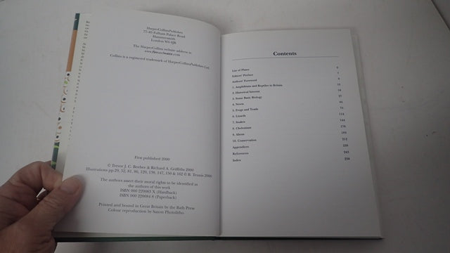 034106_3.JPG