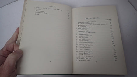 034107_4.JPG
