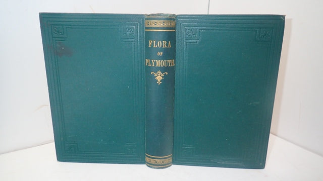 034436_4.JPG