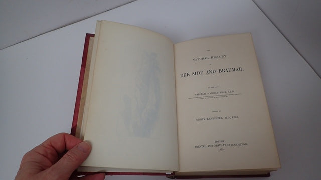034660_2.JPG