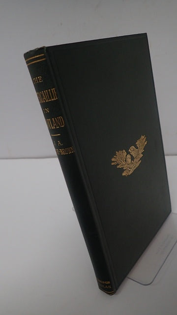 034661.JPG