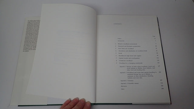034710_4.JPG