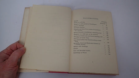 034730_4.JPG