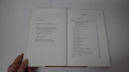 034734_3.JPG