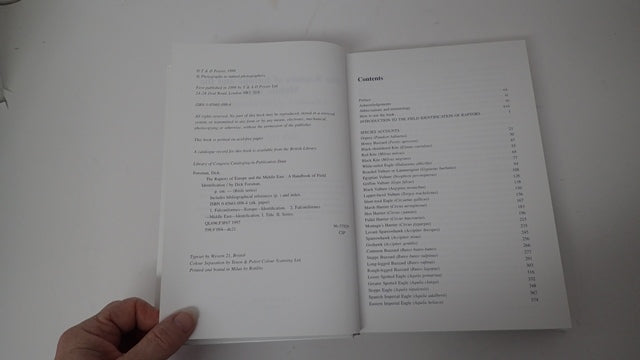 034735_3.JPG