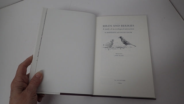 034744_2.JPG