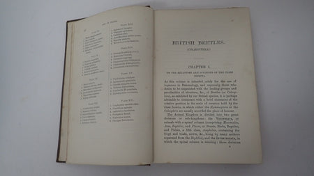 034800_5.JPG