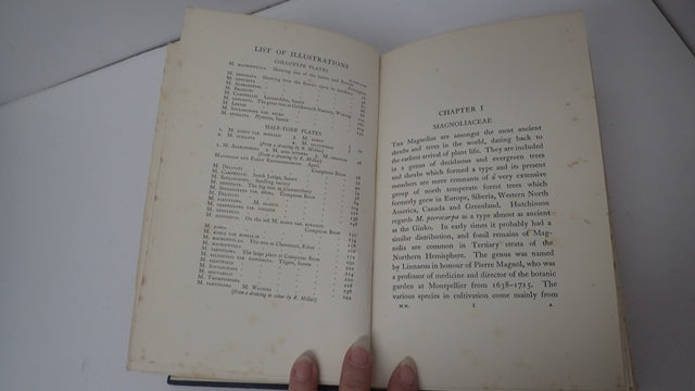 034806_4.JPG