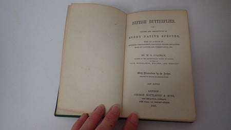 034858_2.JPG