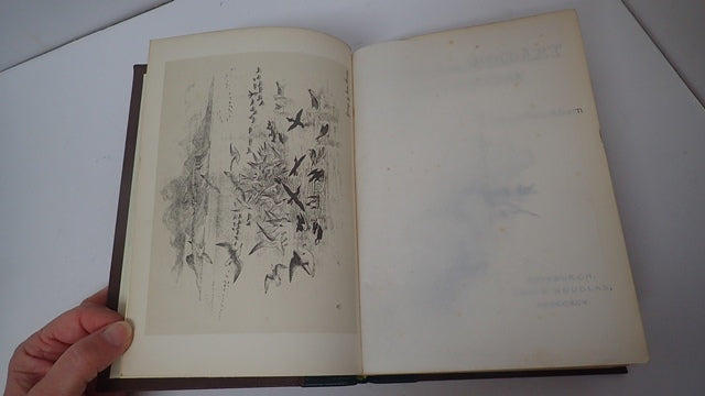 034860_3.JPG
