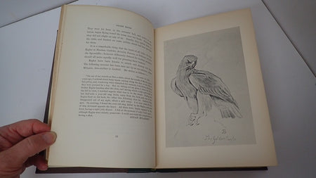 034860_4.JPG
