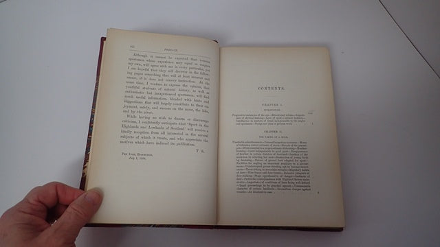 034956_3.JPG