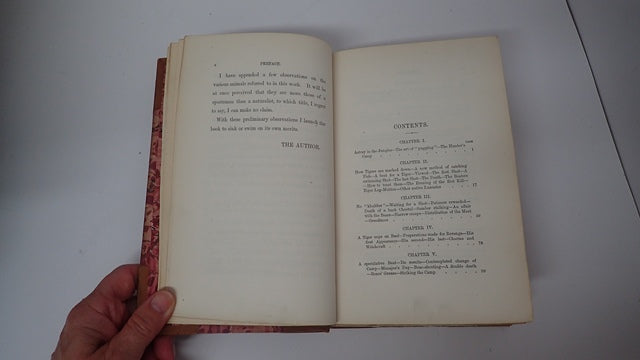 035596_3.JPG