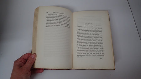 035596_4.JPG