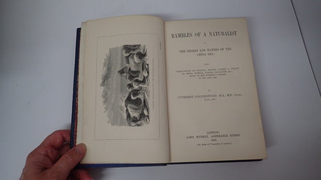 035597_2.JPG