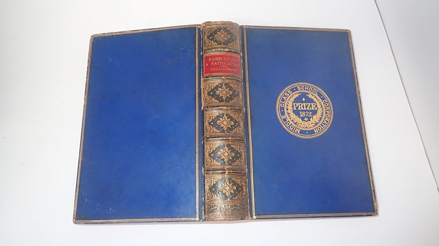 035597_5.JPG