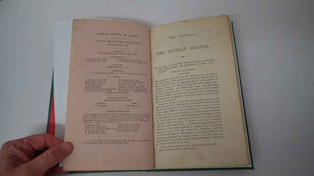 035663_3.JPG